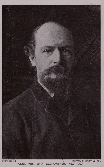 Algernon Charles Swinburne (1837-1909), englischer Dichter und Dramatiker von English Photographer